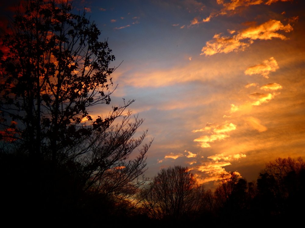 Пожар заката.