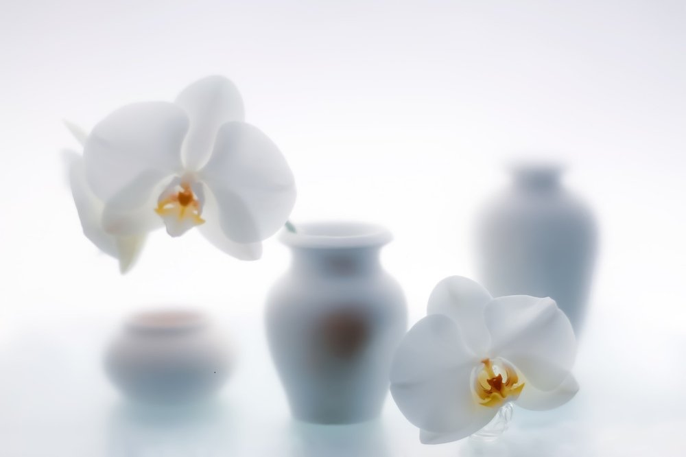 Сладкий сон...