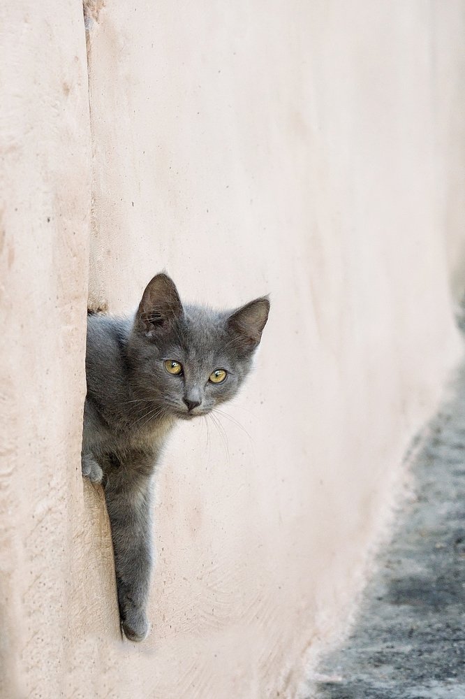 Photograph by Оксана Астрова