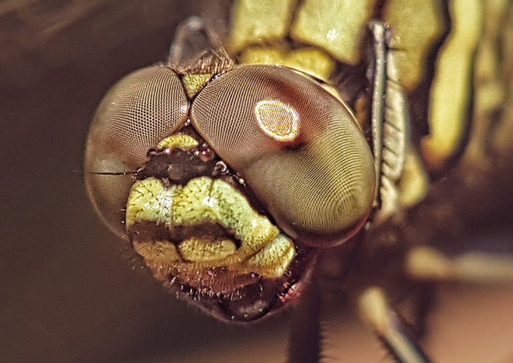 Photograph by Iin Fortunata Angelina