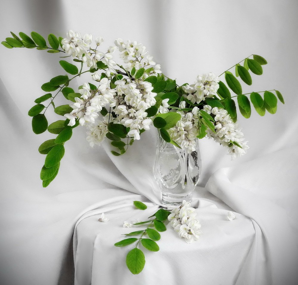 Гроздья душистые.