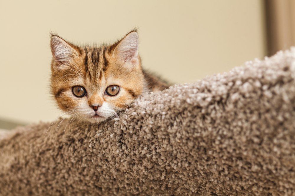 Photograph by Ирина Бобрешова