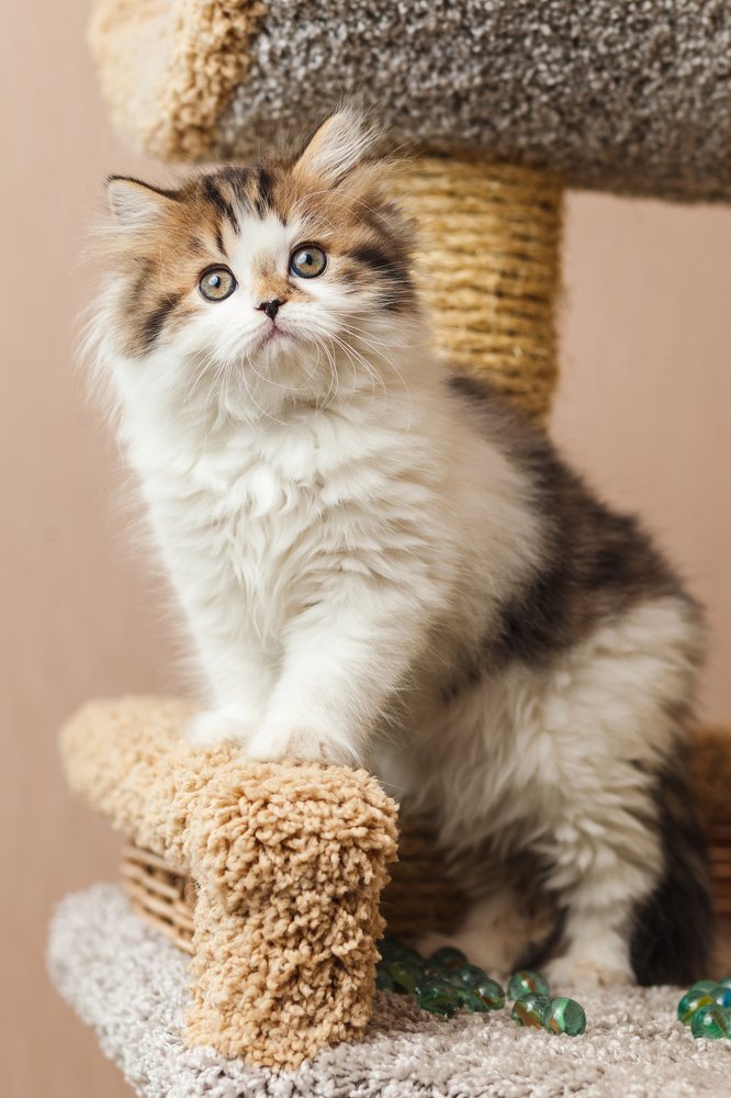 Photograph by Ирина Бобрешова