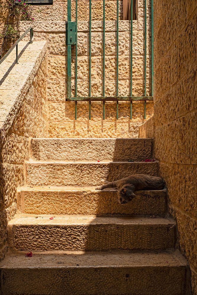 Фотография автора Владимир Эделев