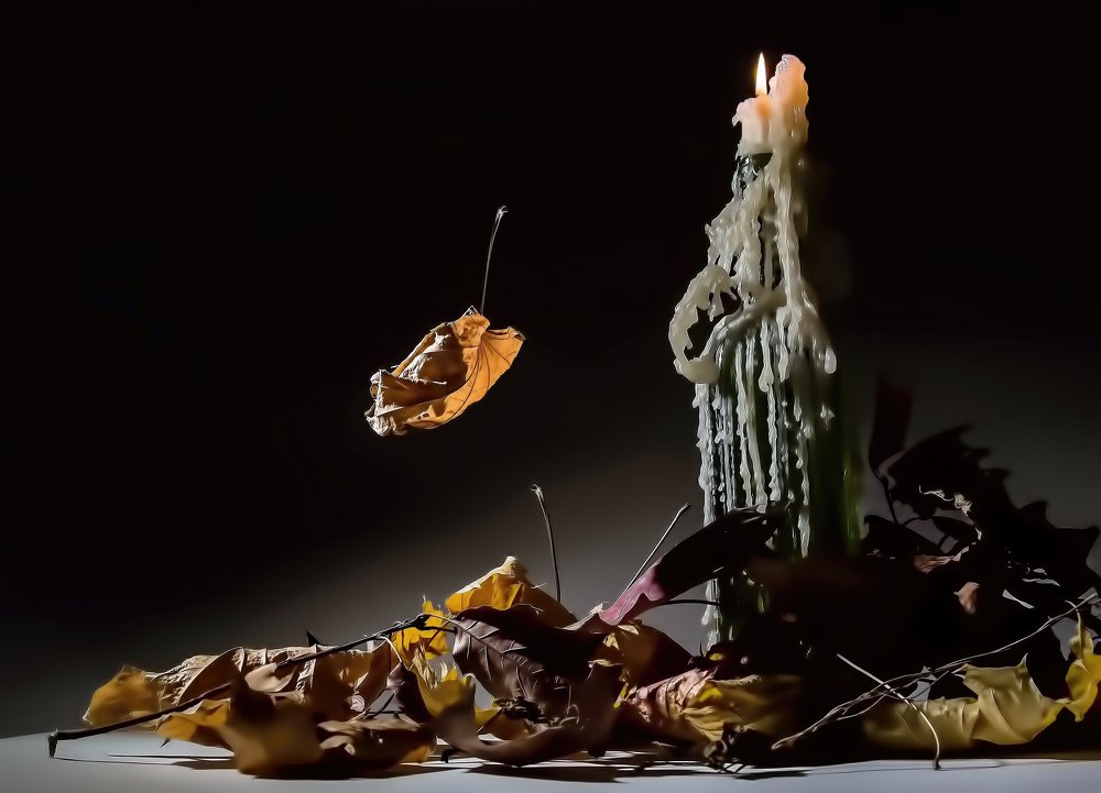 Photograph by Владимир Vladimir