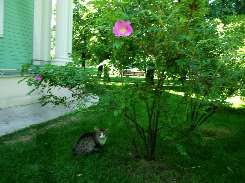 Photograph by Ирина Смычникова