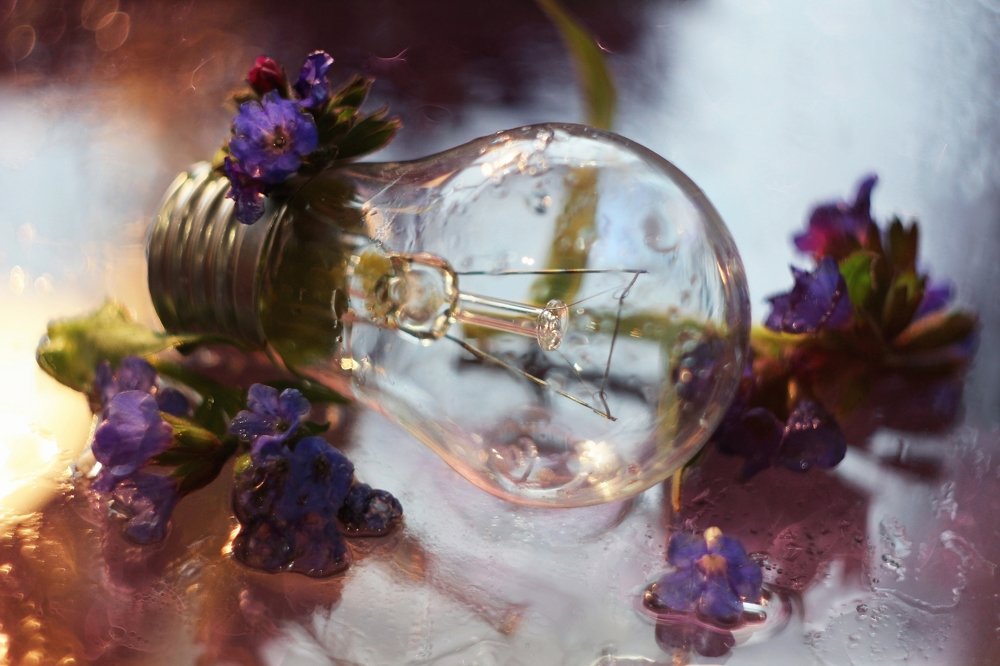 Ламповый натюрморт