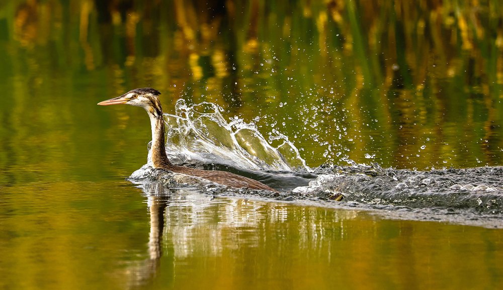 Photograph by Александр Есликов