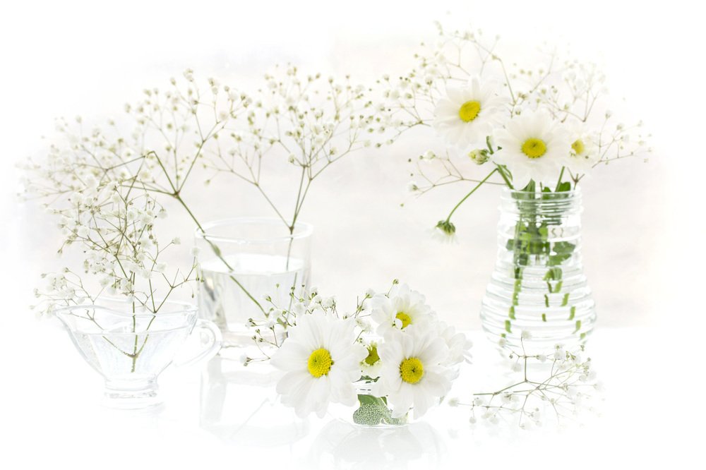 Photograph by Шруб (Беляева) Татьяна