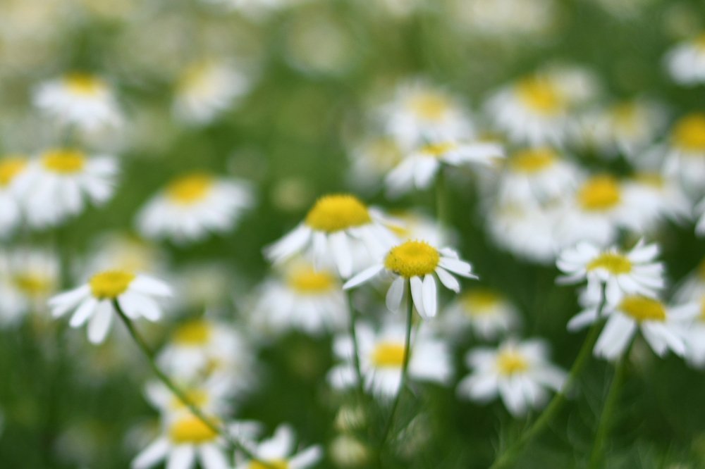 Photograph by Tatyana