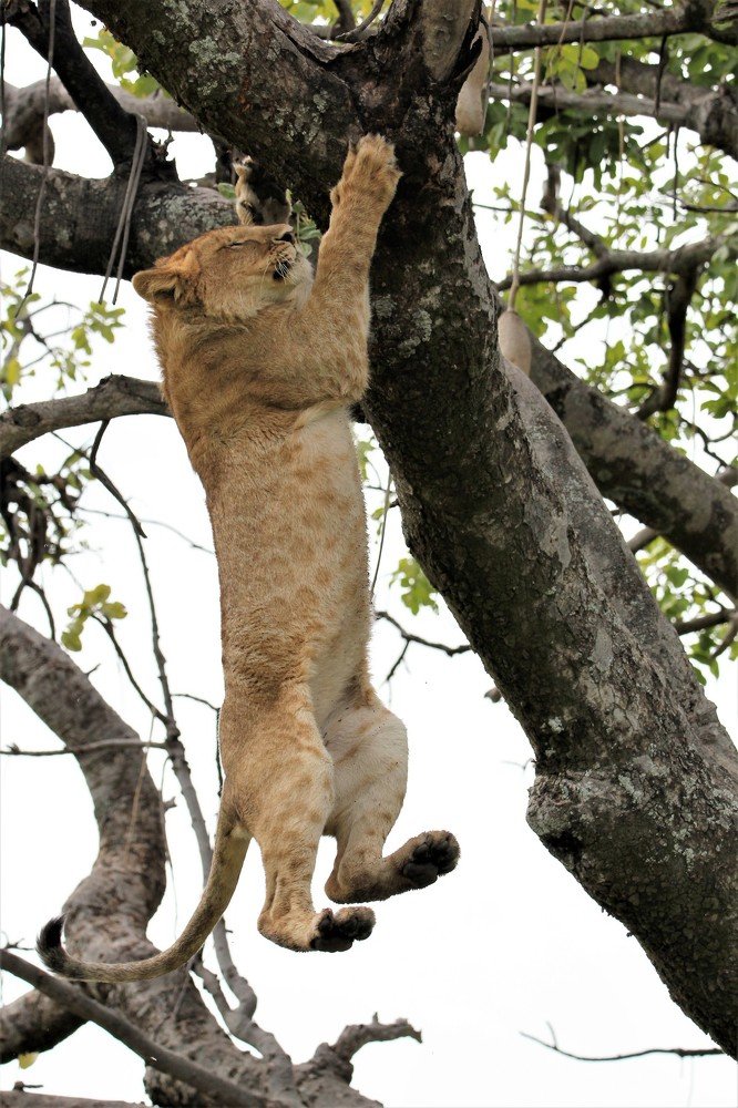 Photograph by bharath kumar