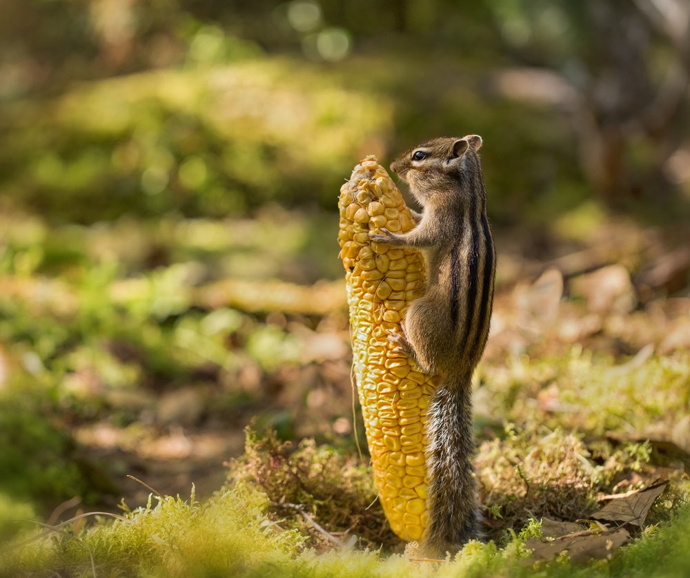 Я так крепко тебя обниму!