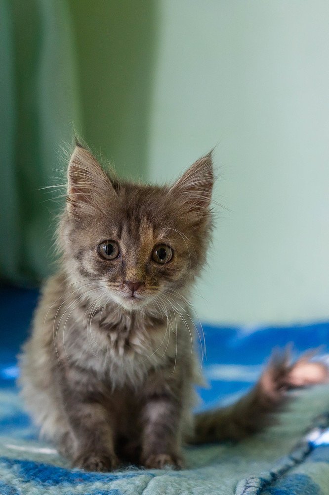 Photograph by Ольга Зеленская