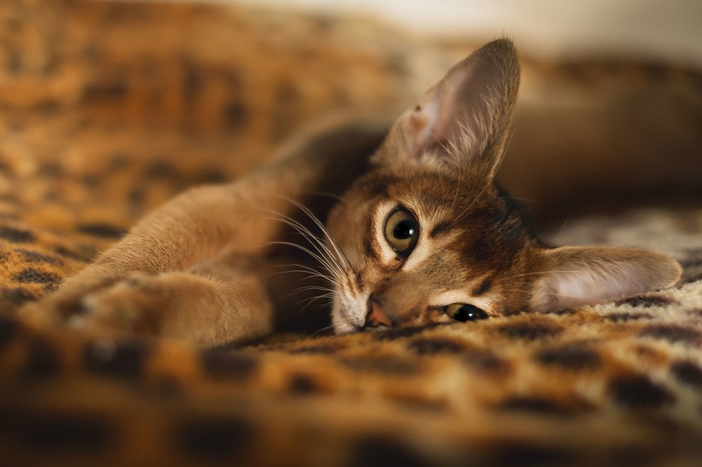 Photograph by Наталия