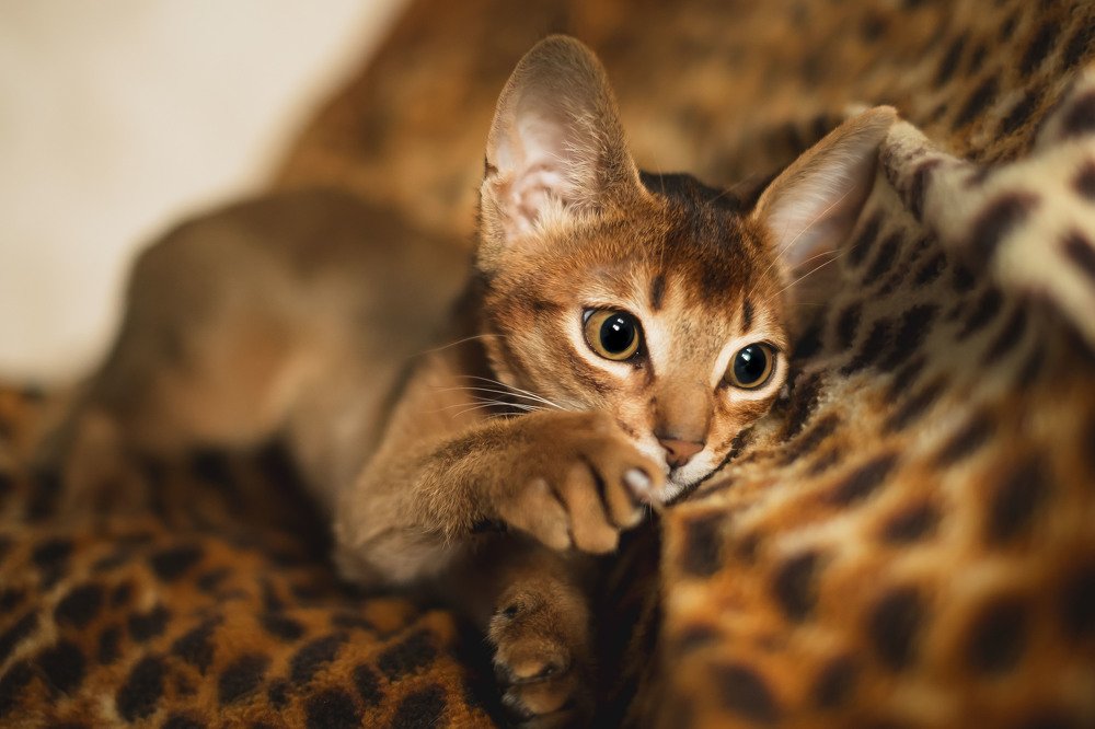 Photograph by Наталия