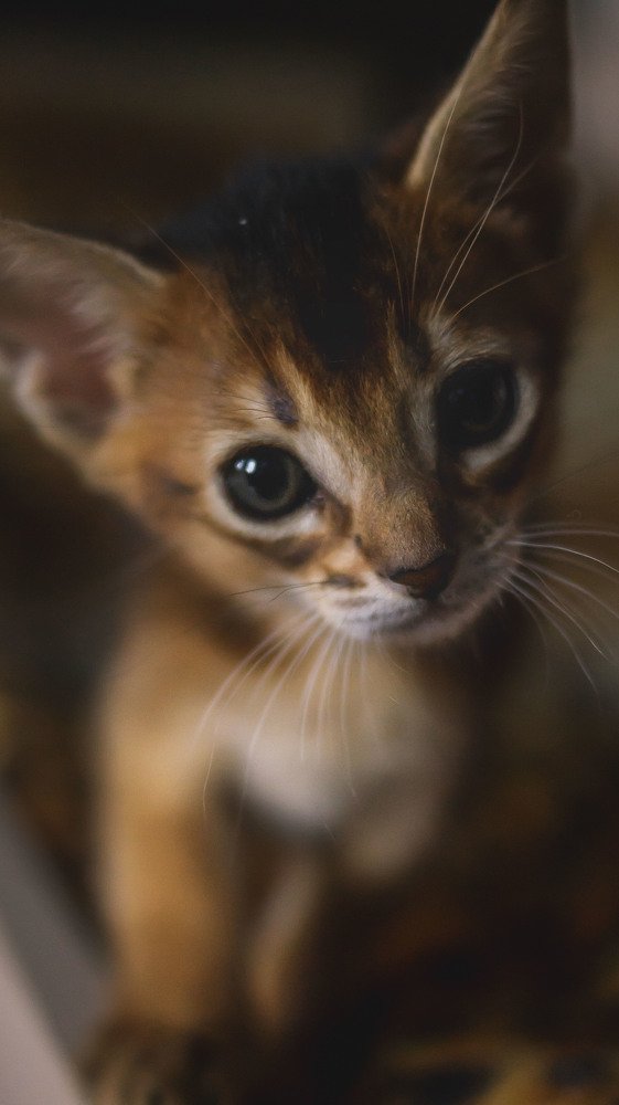 Photograph by Наталия