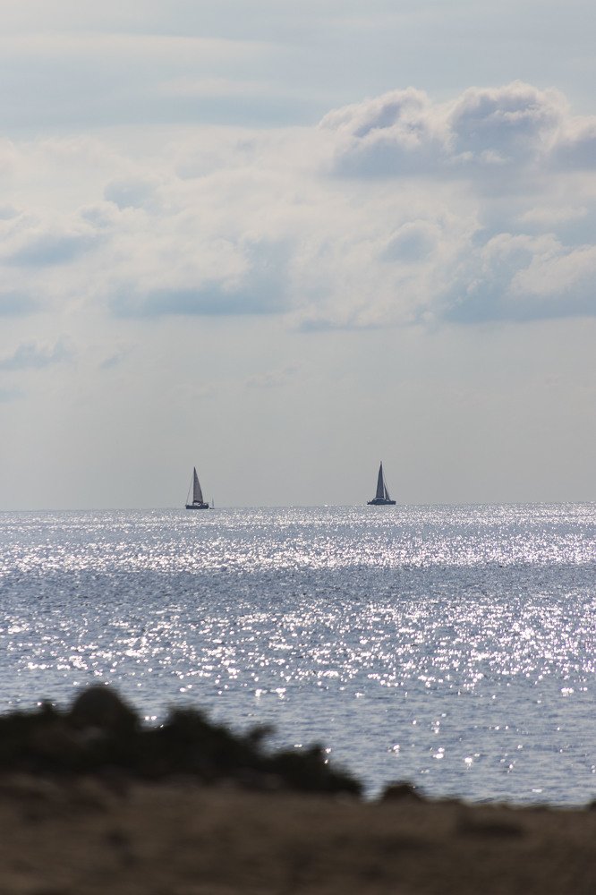 Photograph by Carmen Vich