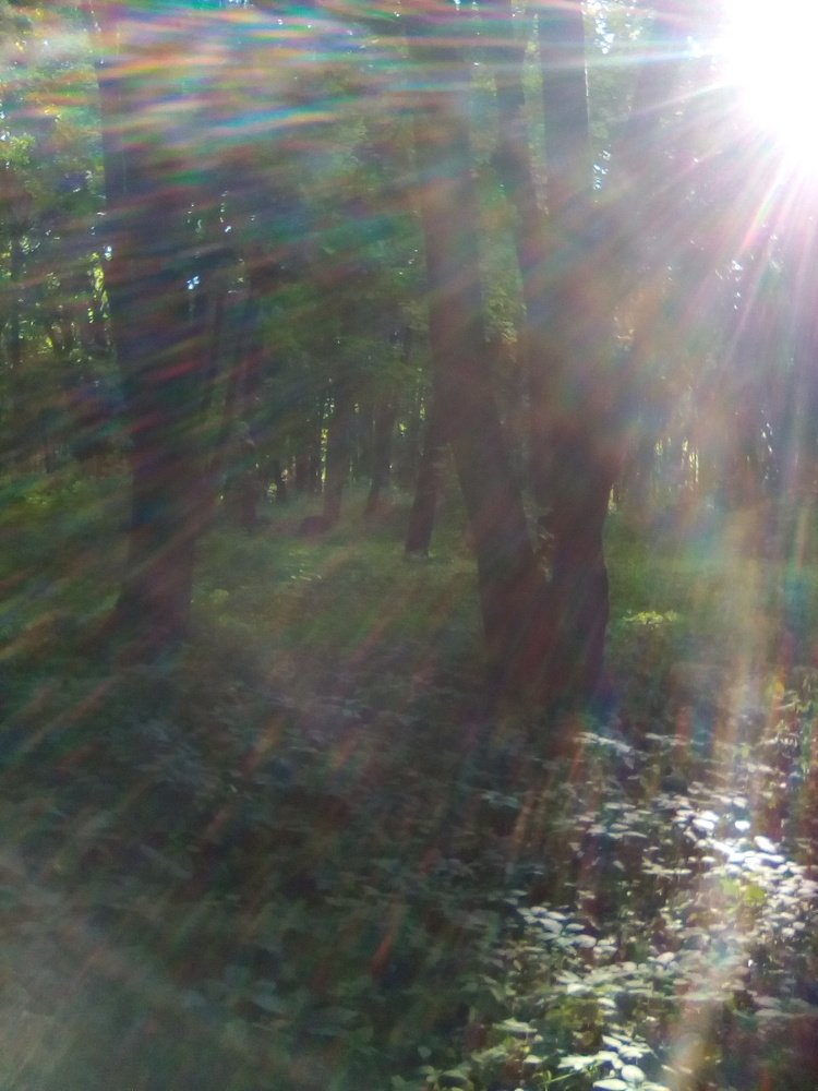 Радужные лучи.