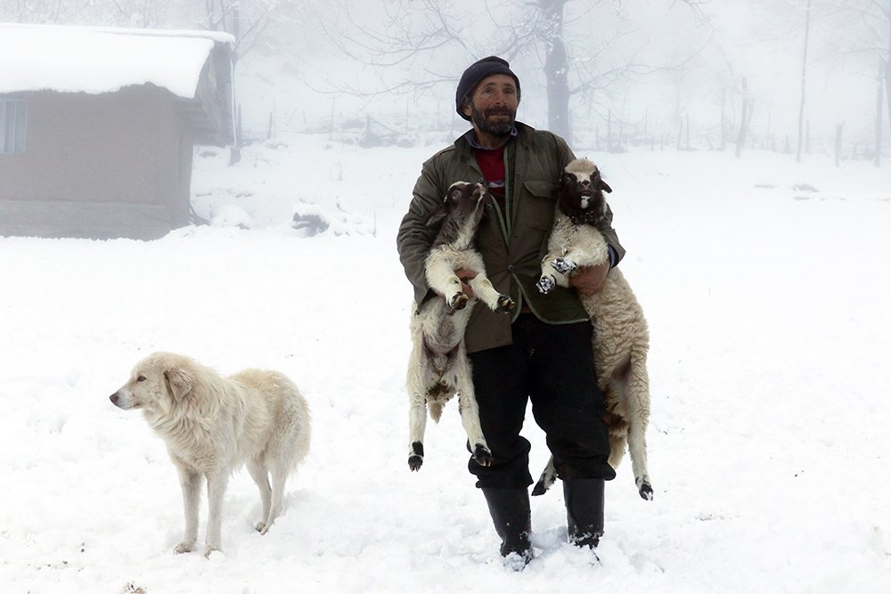 Photograph by behbood mohajeri jolandan