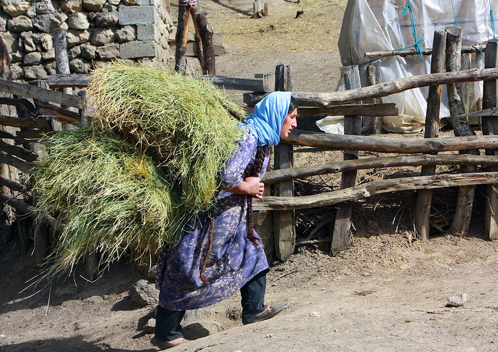 Photograph by behbood mohajeri jolandan