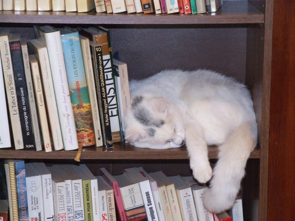 Photograph by Josée Beauchemin