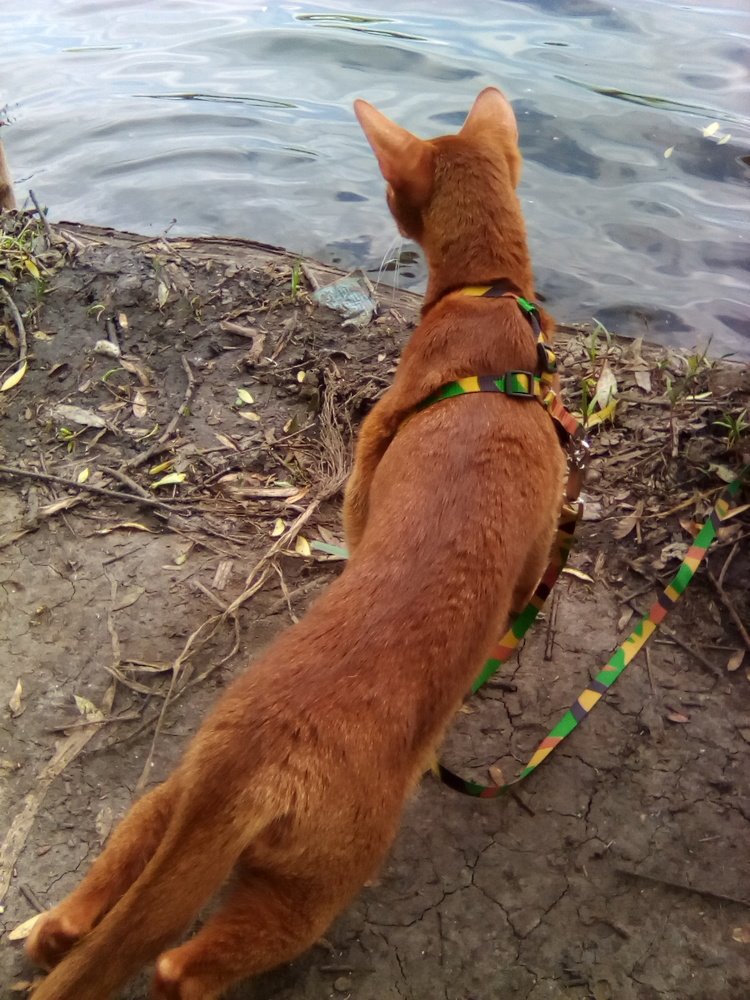 Photograph by Кристина Соловарова