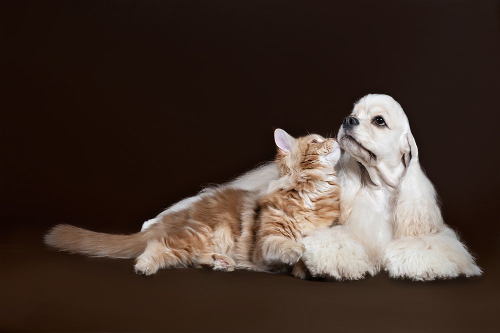 Photograph by OLGA KOVALENKO