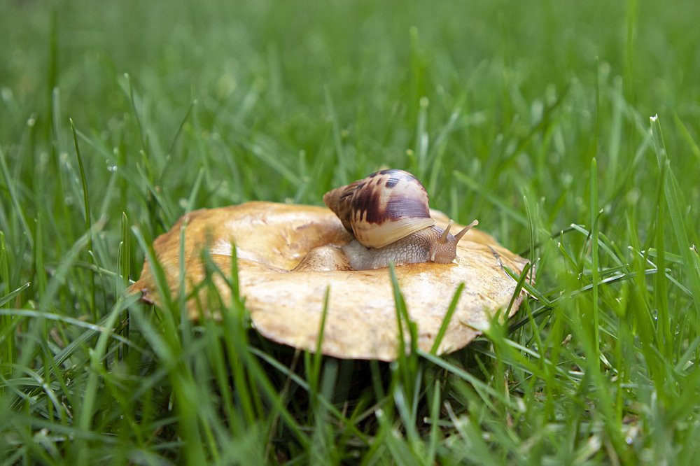 Photograph by Екатерина Вивюрская