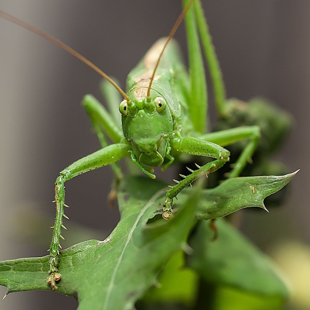 Photograph by Olga Shevnina