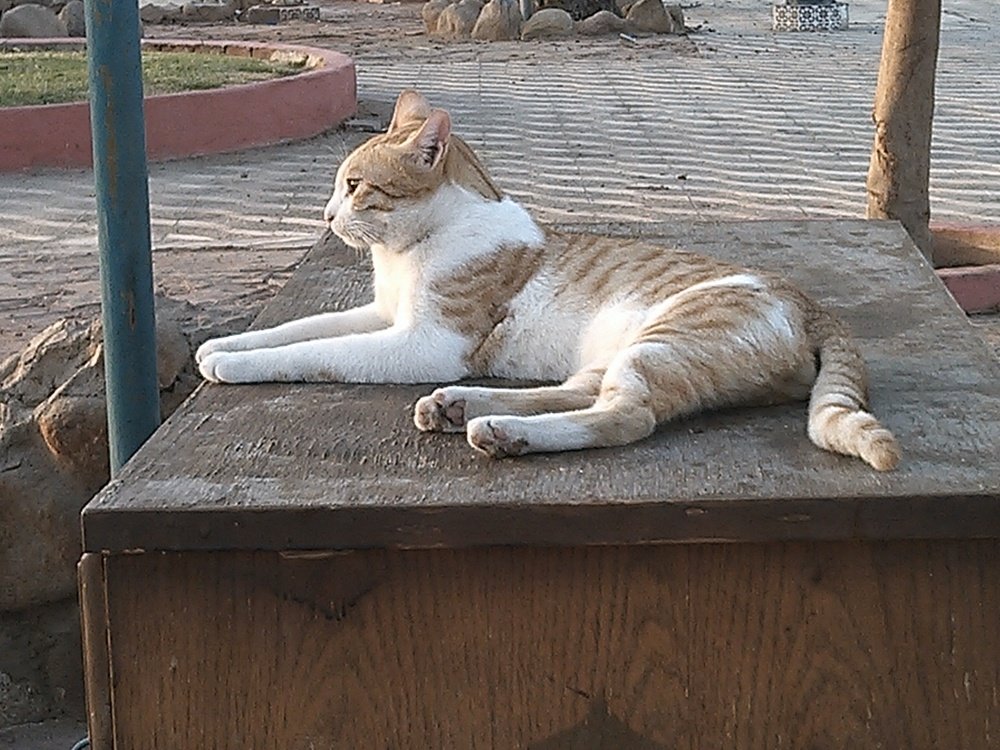 Photograph by Кристина Соловарова