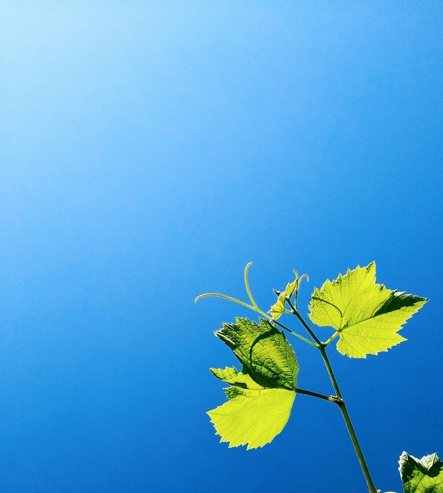 Photograph by Анна Дорошенко