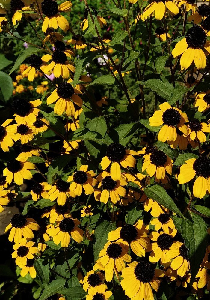 Photograph by Анна Дорошенко