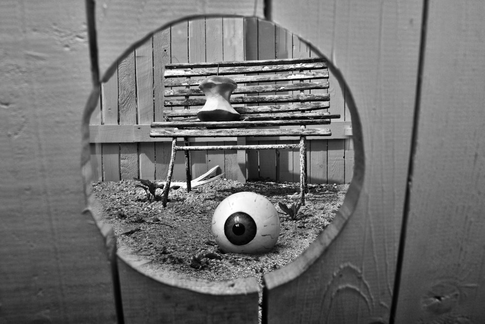 Фотография автора Юрий Макаров