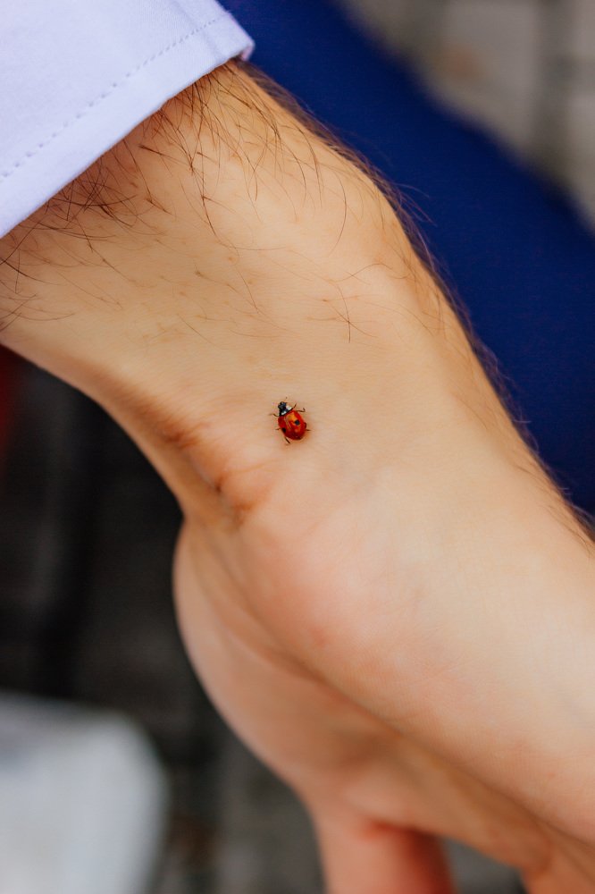 Photograph by Екатерина Аграфенина