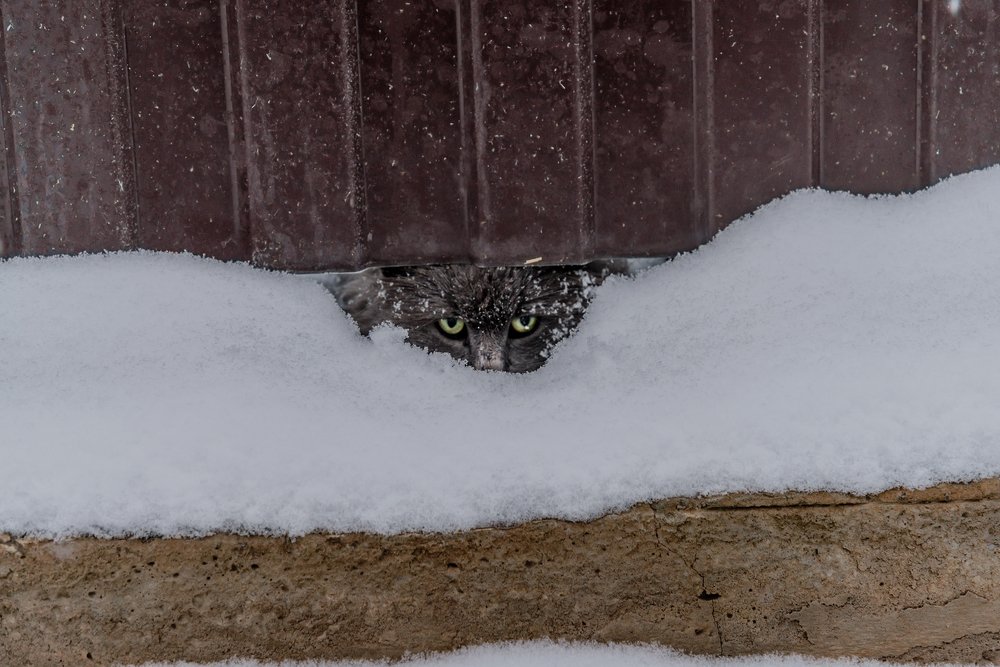 Замыслил я побег серия 1