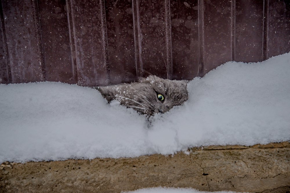 Замыслил я побег серия 2