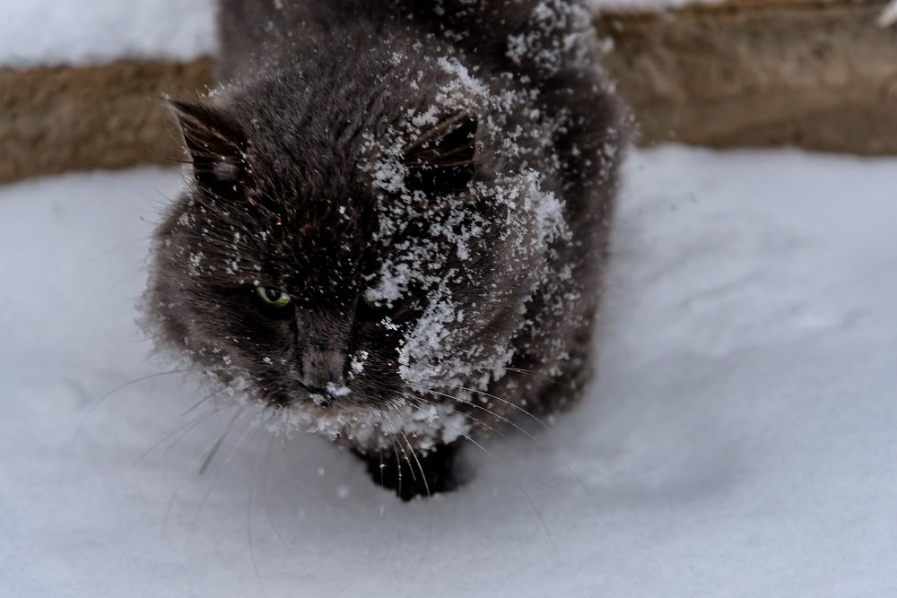 Замыслил я побег серия 3