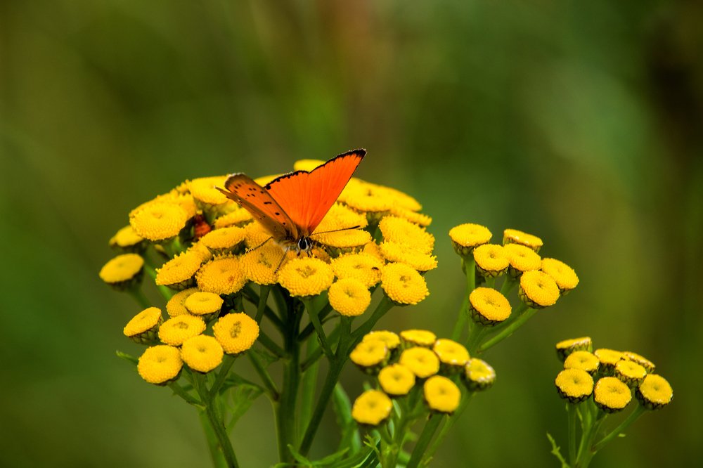 Photograph by Wojciech Grzegorczyk