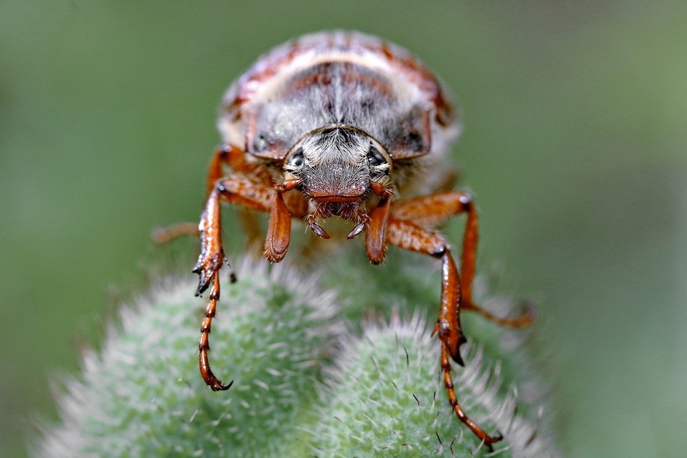 Photograph by Игорь Осипов