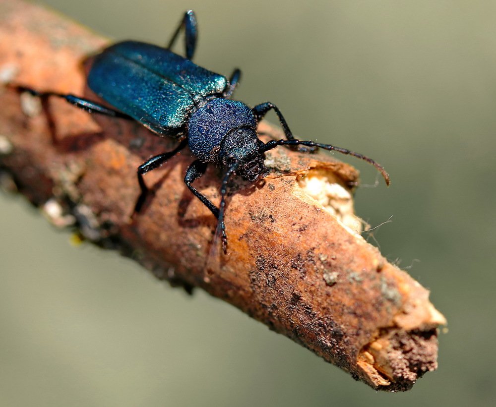 Photograph by Игорь Осипов