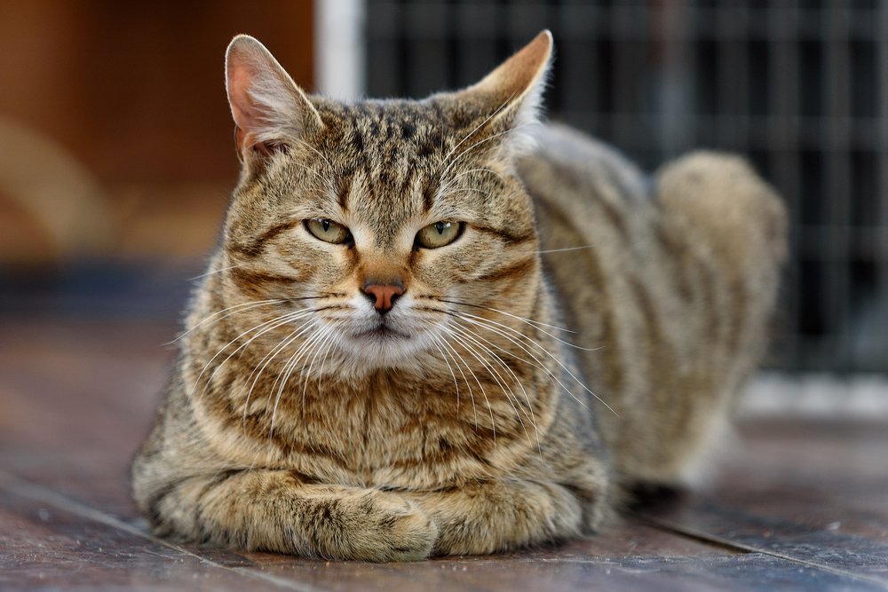 Photograph by Владимир