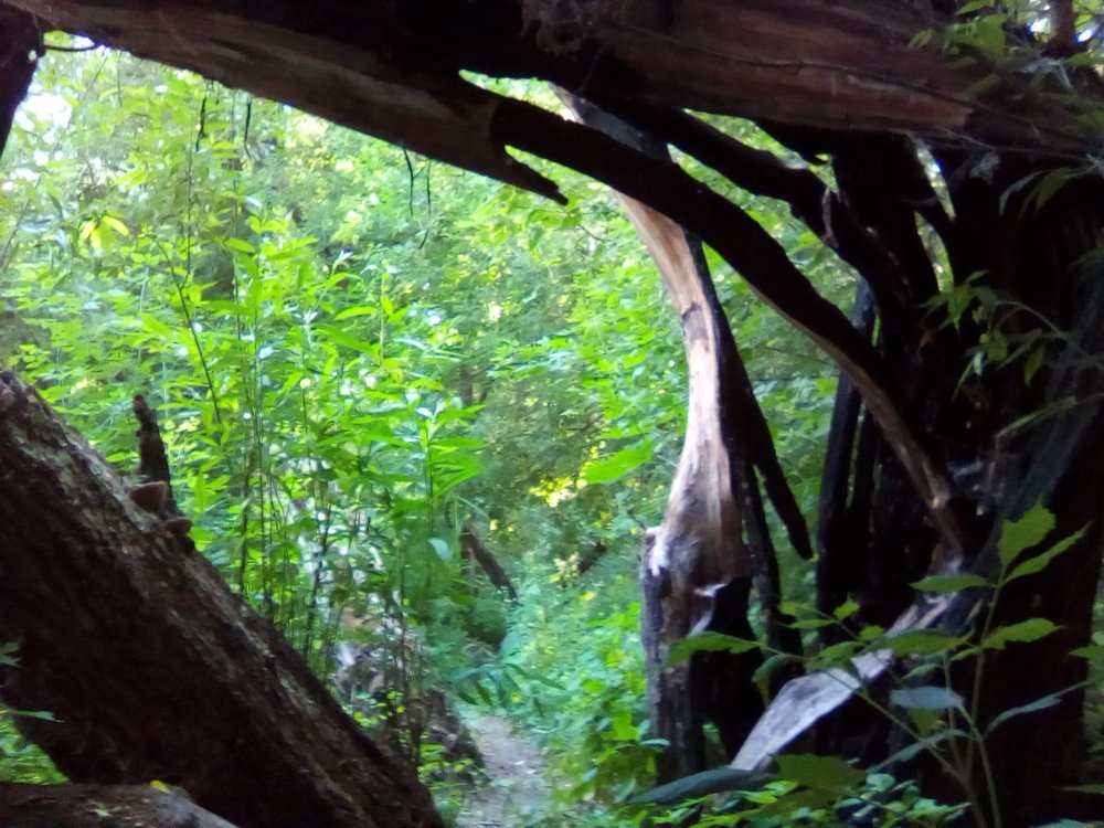 "Окно в Европу".