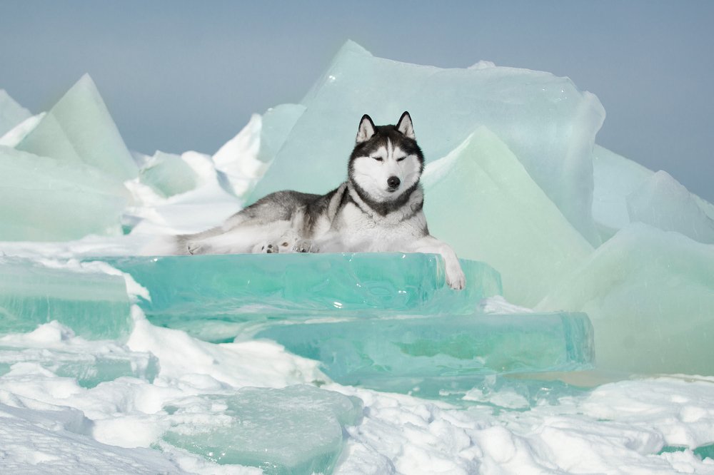 Photograph by Светлана Писарева