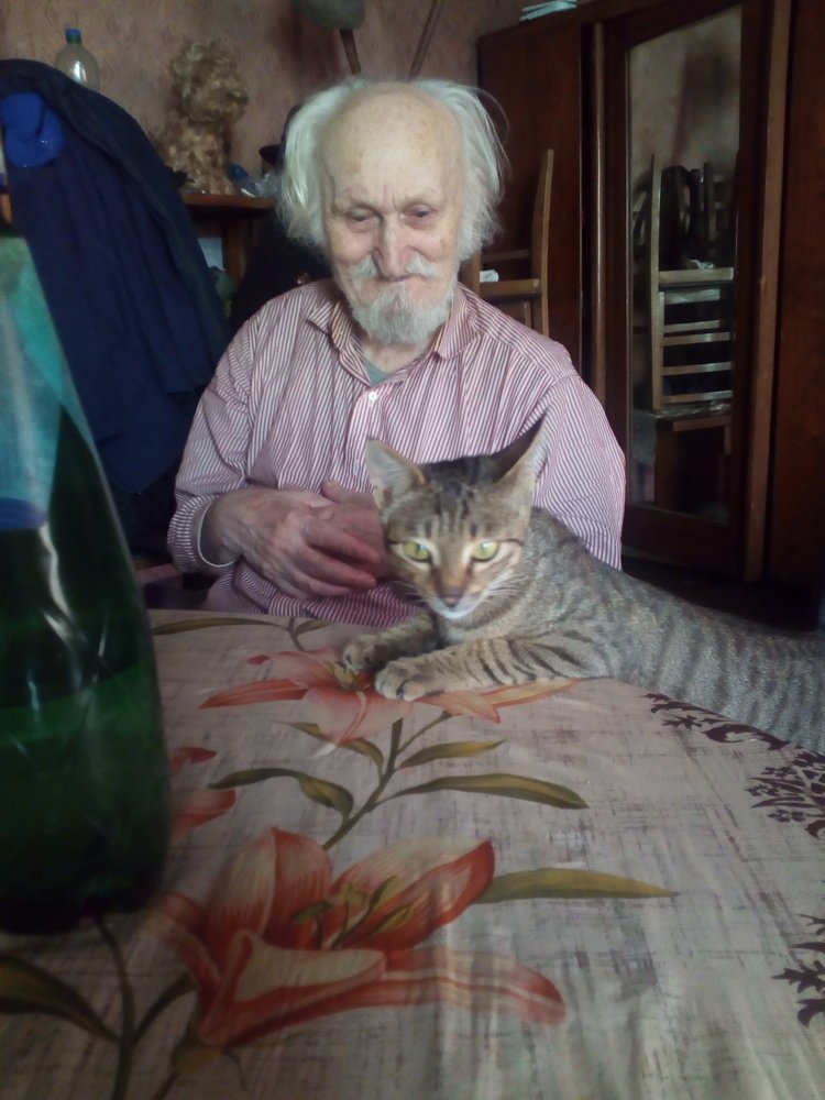 Photo #3514537