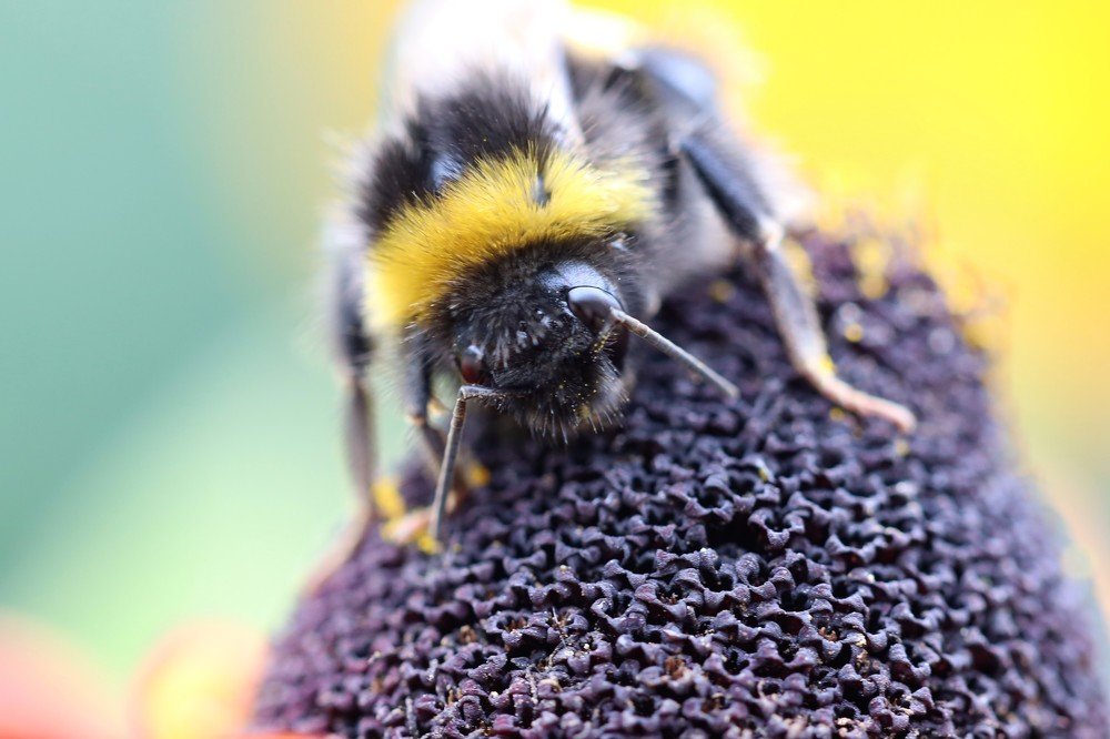 Photograph by Olga Oginskaya