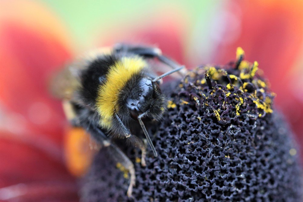 Photograph by Olga Oginskaya