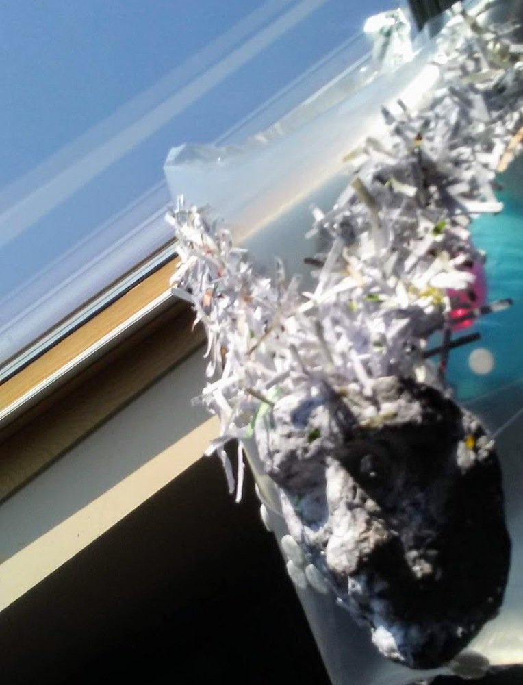 Фотография автора Valentin Claes