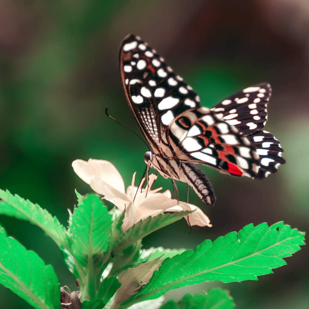 Фотография автора Anna NovaLova