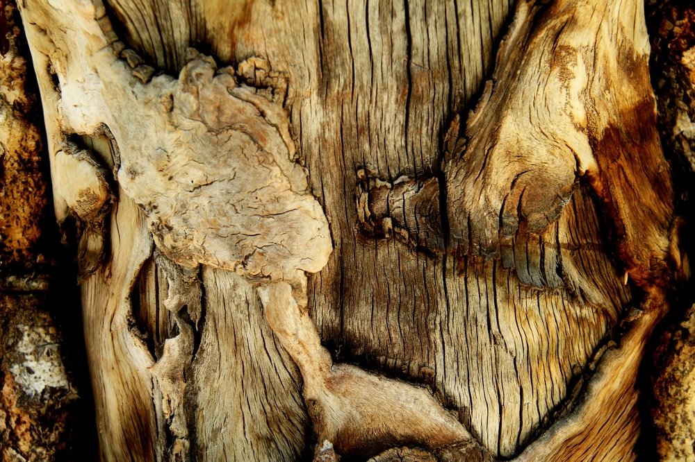 Photograph by Игорь Улитин