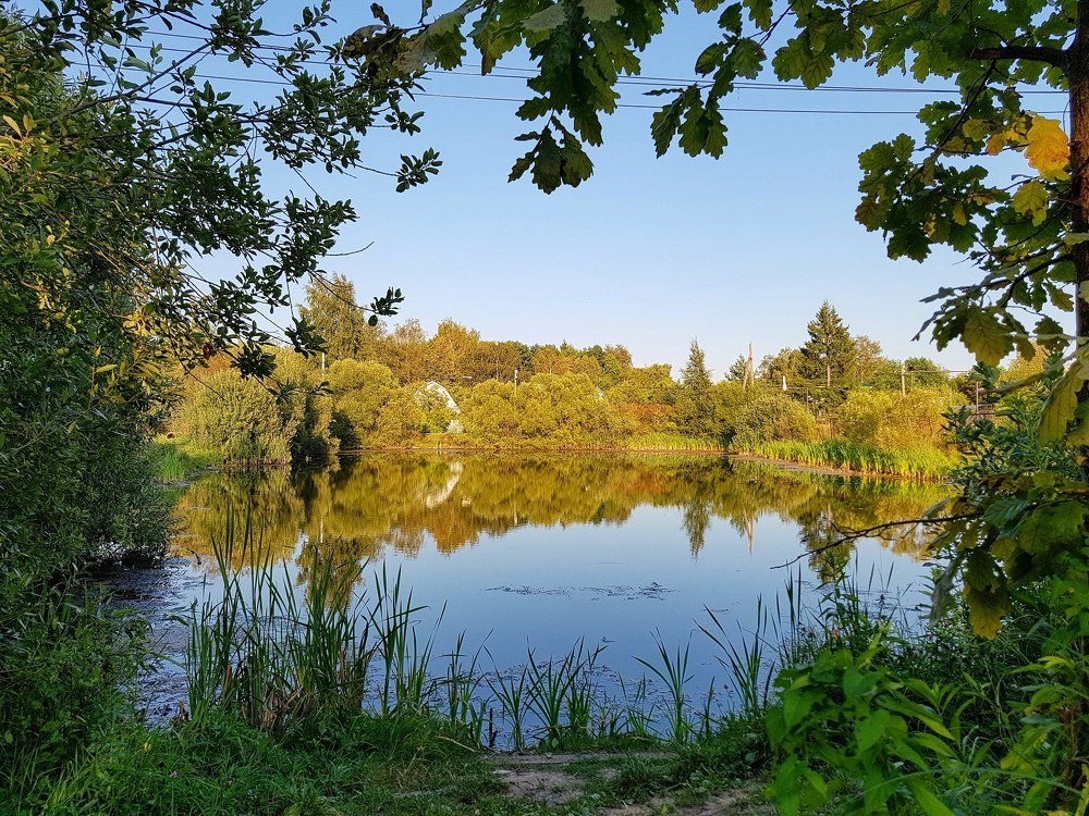 Окно в Осень